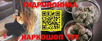 эйфоретик Гусь-Хрустальный