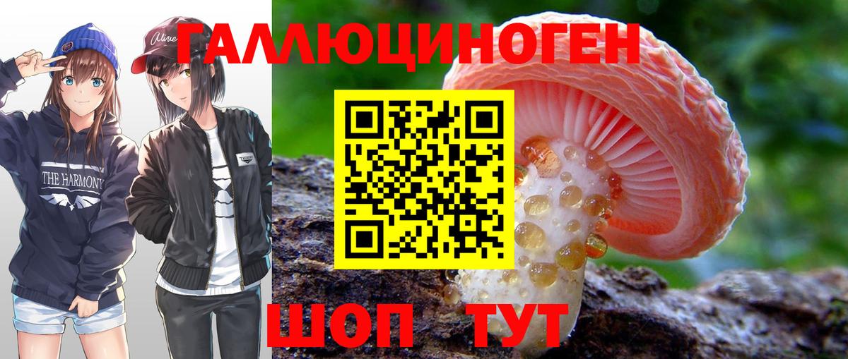 Мытищи  Галлюциногенные грибы мицелий  Вход с VPN 